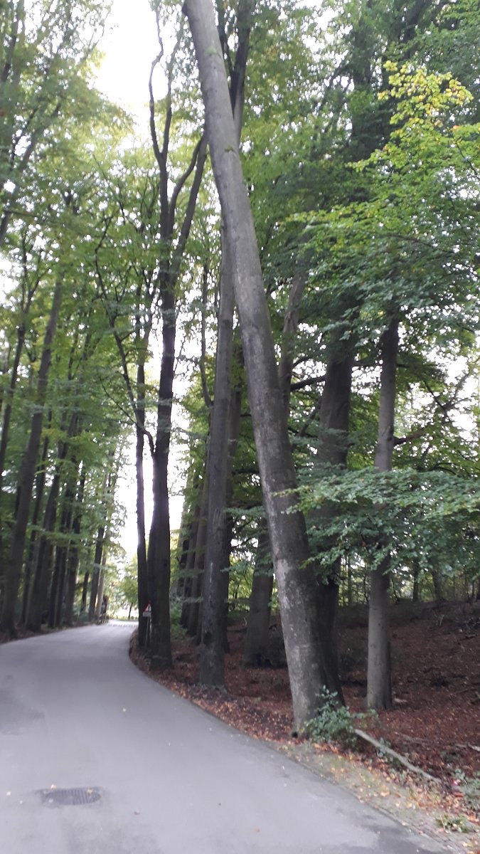 De Posbank is afgesloten. Ga er niet heen. Het is daar echt gevaarlijk. Veel omgewaaide bomen en afgebroken takken. Veiligheid voorop!