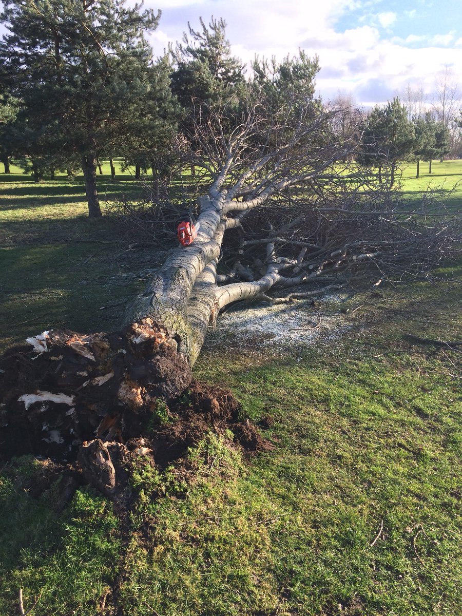 frenchyp76's tweet photo. Casualty on the 14th @BeedlesLake https://t.co/EZWW8sF0R0