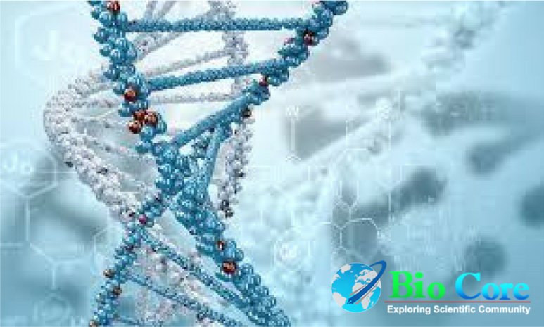 biotechijbb's tweet photo. Do you wish to submit your research in the best Biotechnology journal, it is here https://t.co/7uM3Krpir3
#Biocore_Group
#Biocore_Open_Access_Journals
#IJBB
#Biotechnology_Journal https://t.co/yeBkq8AqZF