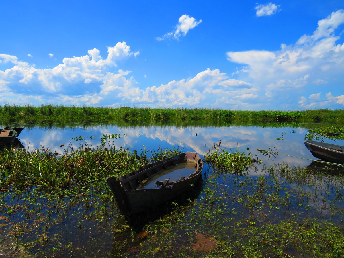 <a href="/diariodefoto/">Diario de una Foto</a> gracias por seguirme. Y comparto con ustedes mi fotografía. Aquí va...