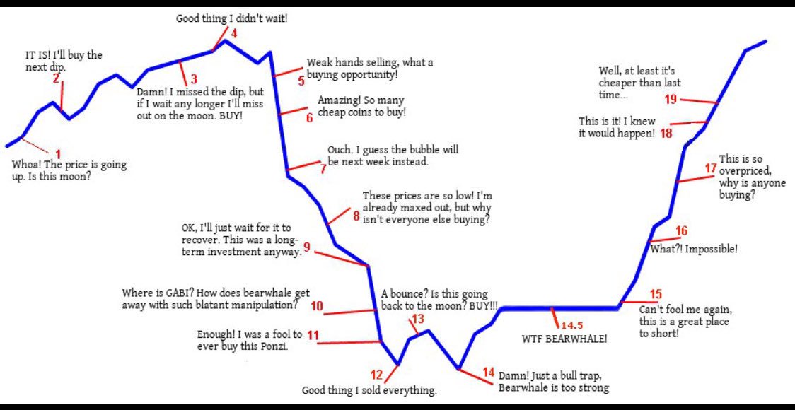 DT0bLOsUQAE3wZU.jpg:large