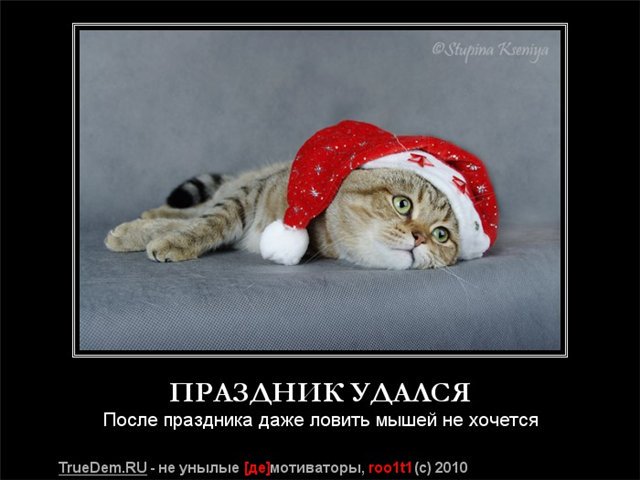 Картинки прикольные на работу после новогодних праздников, картинки
