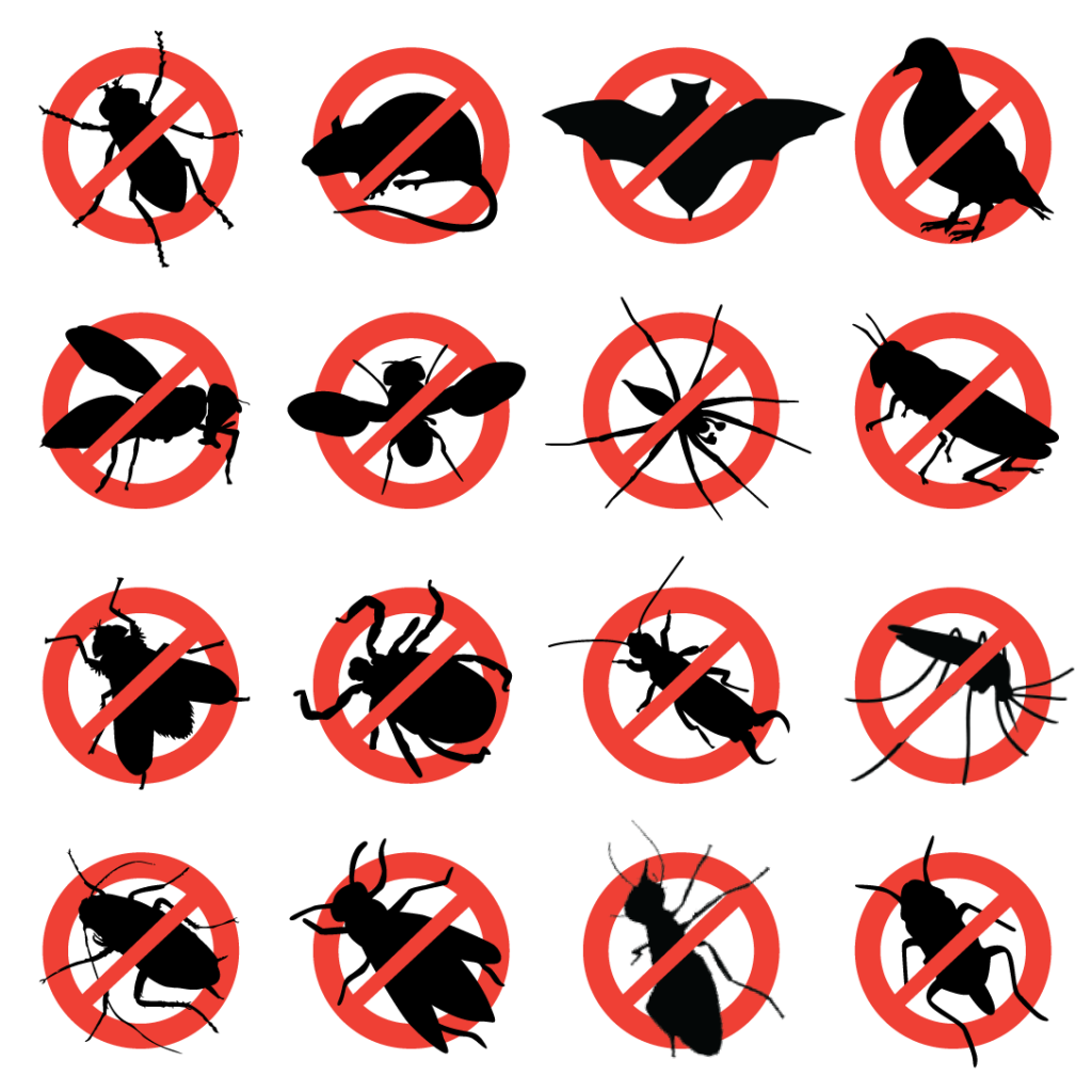CleargroundLtd's tweet photo. Clearground offer a full range of first class pest control services, pest infestation can lead to a variety of health and safety, monetary or productivity problems for businesses. Give us a call to arrange a full no obligation site survey today! π#Cleargroundltd #PestControl https://t.co/vrNwGln9dX