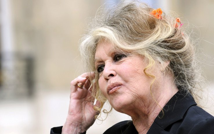 Molestie, Brigitte Bardot: "Attrici fanno civette per avere un ruolo" sky.tg/mzy97 #intrattenimento