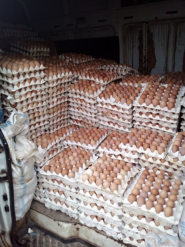IAMMEKIDS's tweet photo. Eggs for sale bulk buyer only !!! pls help with a RT man needs to make a living https://t.co/HMOsHCQAVf