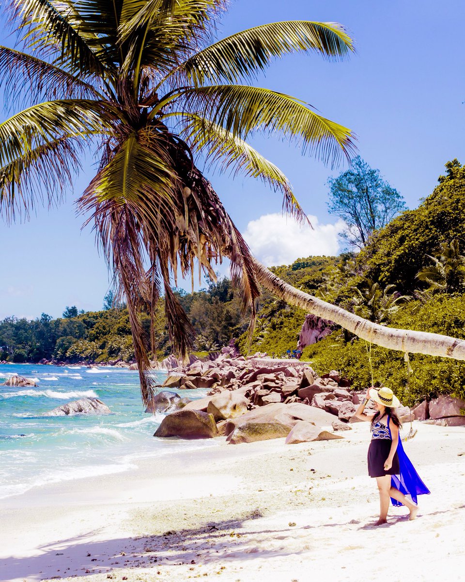 talesoftraveler's tweet photo. If you are looking for a laid-back island escape -- speckled with beautiful boulder-strewn beaches, azure waters, breathtaking sunsets, palm trees and the entire island accessible by bike or on foot; La Digue Island, #Seychelles fits the bill perfectly. 

#travel https://t.co/yBcctS2Kn5