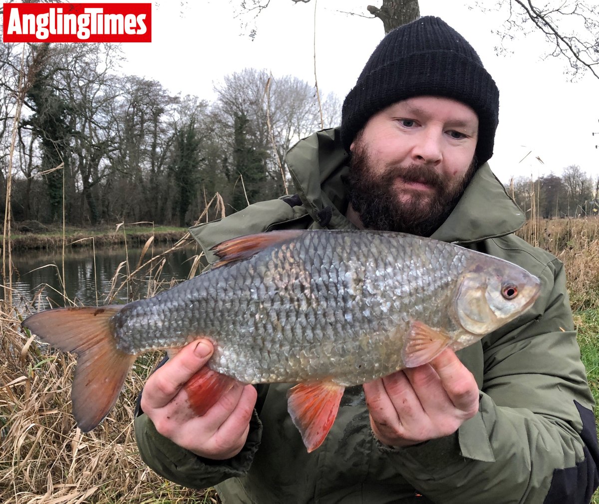 angling_times's tweet photo. What a stunning river roach! 2lb 11oz from the Test #FridayFeeling #fridaymotivation #riverroach #riverfishing #roachfishing #fishing #No1infishing #GetIntoFishing #angling #fishing https://t.co/tednn4JdTD