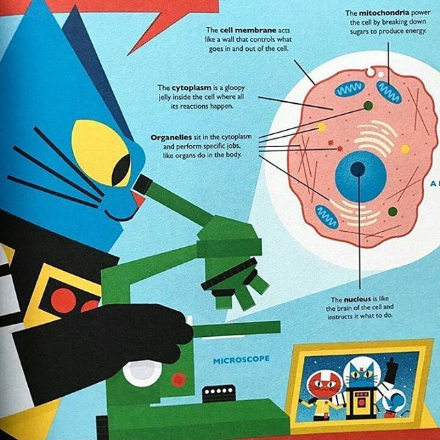 Tiphaine_agency's tweet photo. @benjinewman illustrated 'The Human Body Odyssey' the new album of @profastrocat that will be out in the UK the 1st of March
#profastrocat #flyingeyebooks #science #humanbody #benjaminnewman https://t.co/D9Dl4EomVS https://t.co/vFLHrCrViu