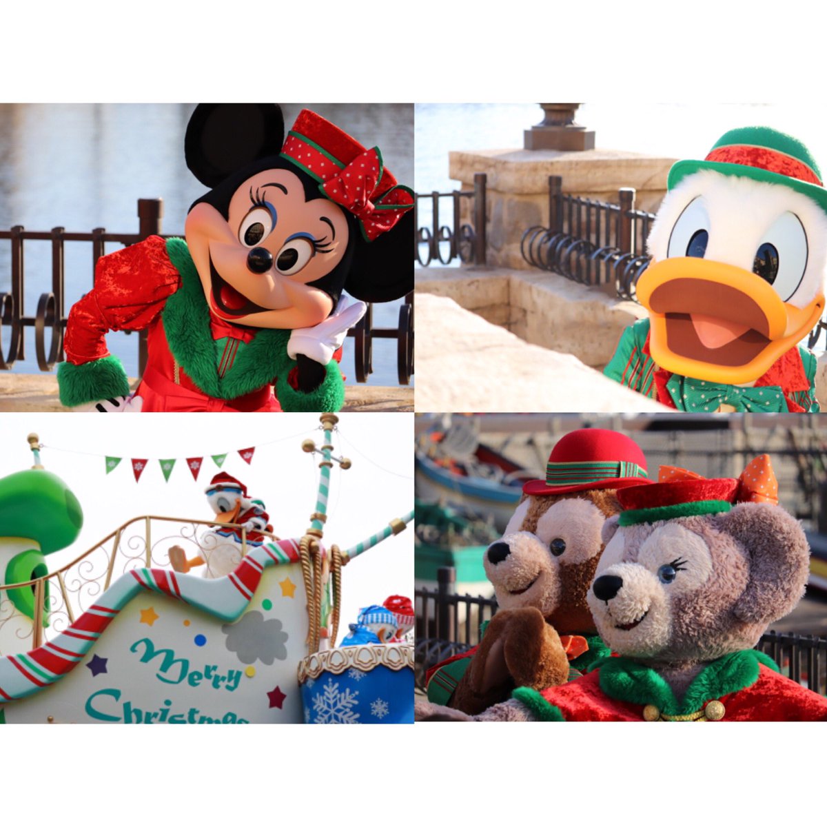 ayaka_0609_d's tweet photo. 💙Donald Duck
💫共通年パ1年目
📷Canon Kiss X9 (🔰) / iPhone 7
💗ショーパレグリ
📎95line / ♀/ Tokyo
.
#twitter上にいるDヲタ全員と繋がるのが密かな夢だったりするのでとりあえずこれを見たDヲタはRTもしくはフォローしていただけると全力でフォローしに行きます
#Dヲタさんと繋がりたい https://t.co/h2XkvtnNU1