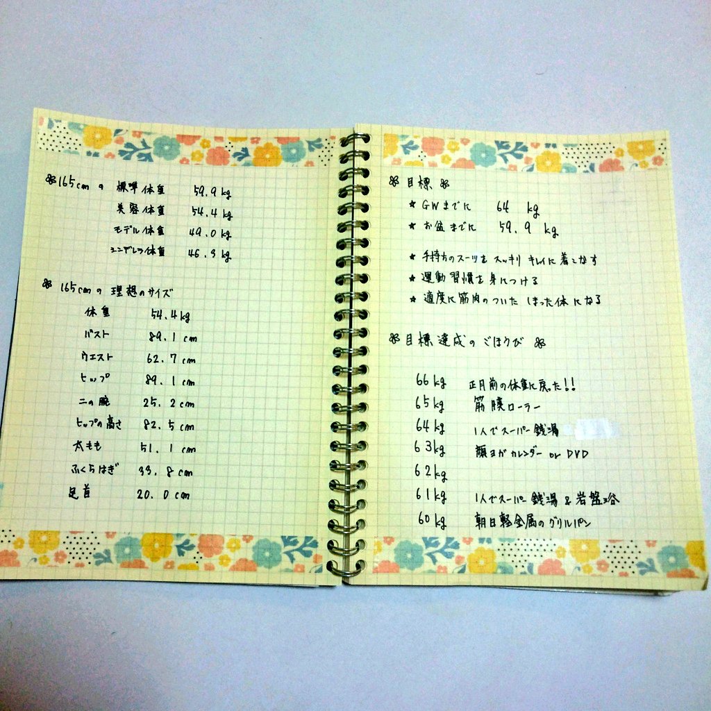 まちまち 彡 Pa Twitter 1月17日 ダイエット計画を立てる とて家事とは言えないかもしれないけど 毎年この時期に言ってるけど 何度も ダイエットやるやる詐欺を働いてきたけど 今度こそ 今度こそ ダイエットノートのことシンデレラノートとも言うらしい かわいい