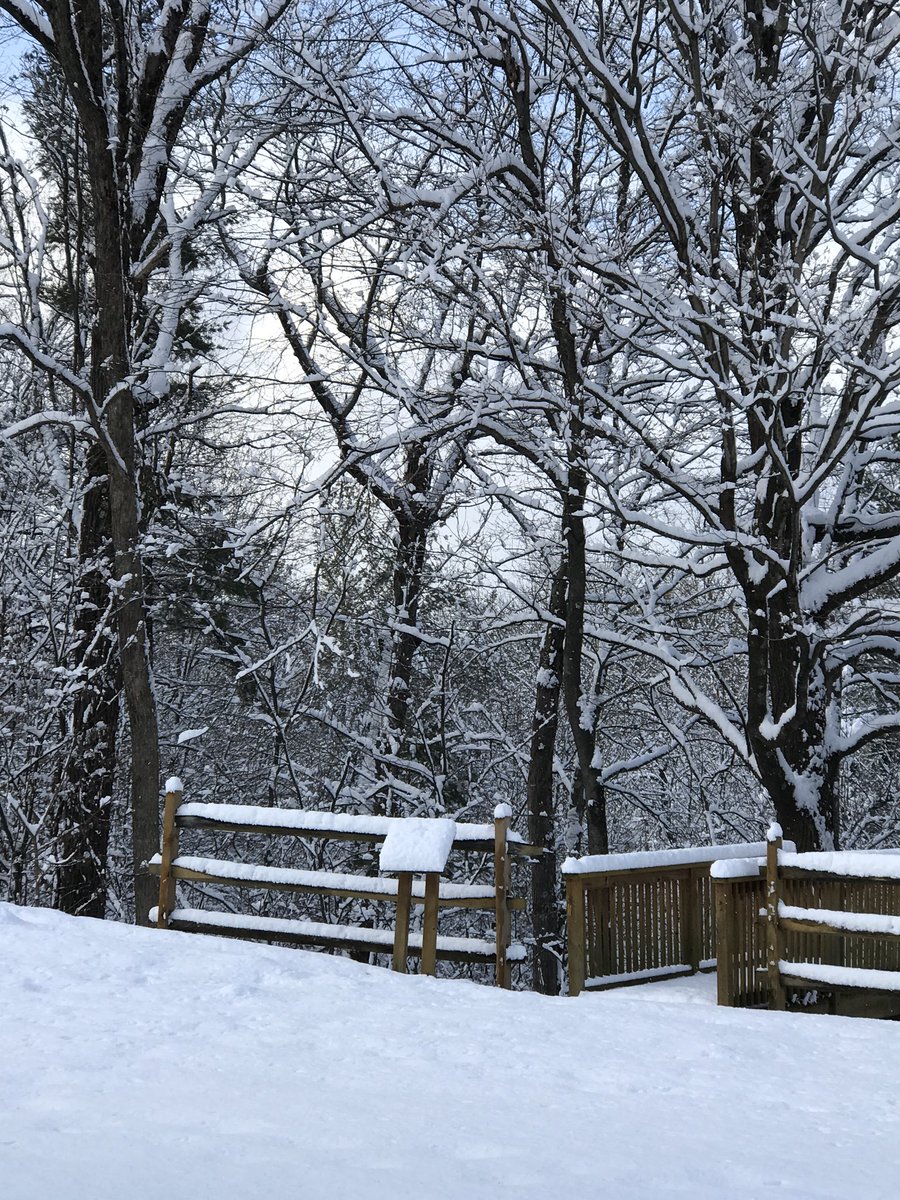 LongfellowsNY's tweet photo. Silent beauty! #freshlyfallensnow #peacefulness #winterwonderland #saratoga https://t.co/xTDqfpSuyZ