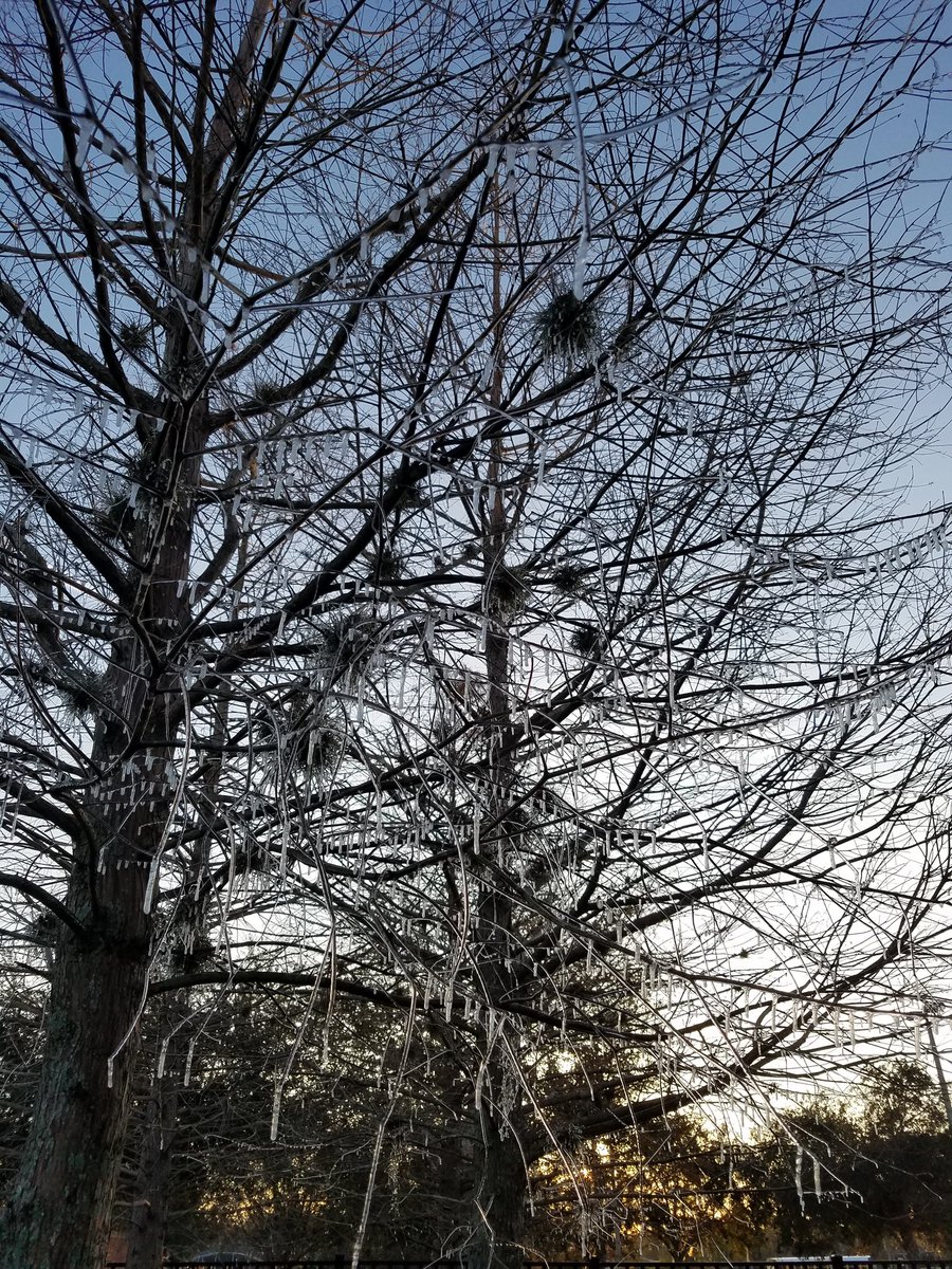 Really cool when Ss see the icicles on the tree and you hear them say " this is so awesome " gotta love our kiddos. <a href="/cypresscreekvcs/">Cypress Creek</a>