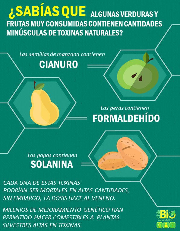 ChileBio_AG's tweet image. Cuidado con los mitos sobre los alimentos, biotecnología y transgénicos. Te invitamos a revisar varios aquí: ow.ly/V6mF30hMYTi