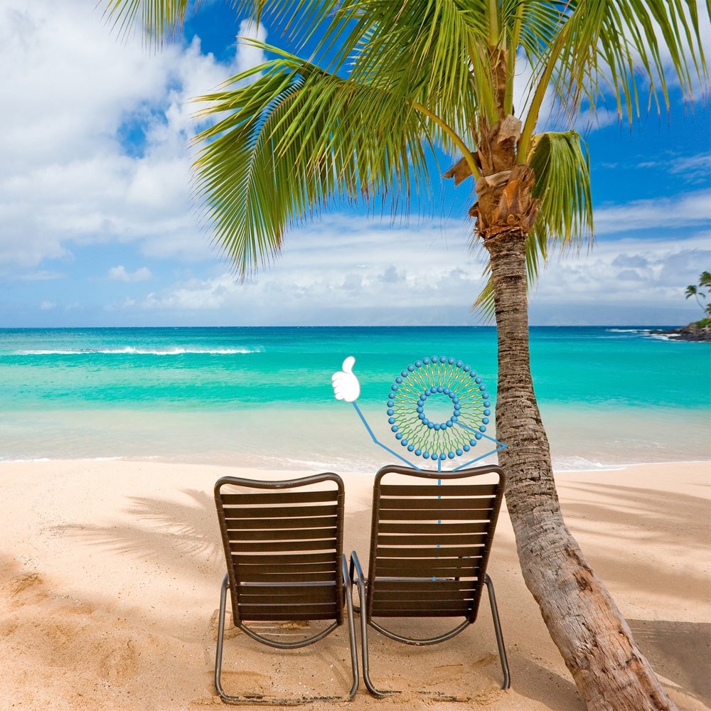 realVesicle's tweet photo. I'm just chillin on the beach, so vote me beach #makethecellgreatagain #Iamthebest #vesicleforthewinboys #vesicle2018 #fullsend #sendit #saturdaysareforthecells https://t.co/7xyxw2pvlh