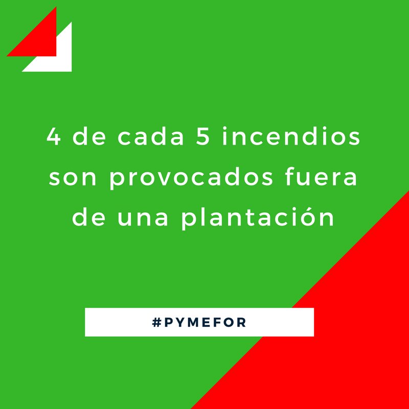 Con las altas temperaturas, el riesgo de incendios es mucho más frecuente, no queremos más paisajes quemados, ¡ayúdanos a cuidar nuestros bosques! #NoMásIncendios