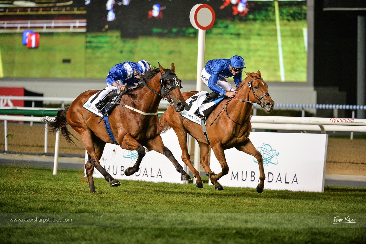 zoomnclick's tweet photo. #Baccarat comes in 2nd by a neck, for #TeamGodolphin in the Cleveland Clinic Abu Dhabi World Class Healthcare Cup at @DRC_Meydan; #VanDerDecken 3rd #DWCCarnival https://t.co/RpwzVIPiIv