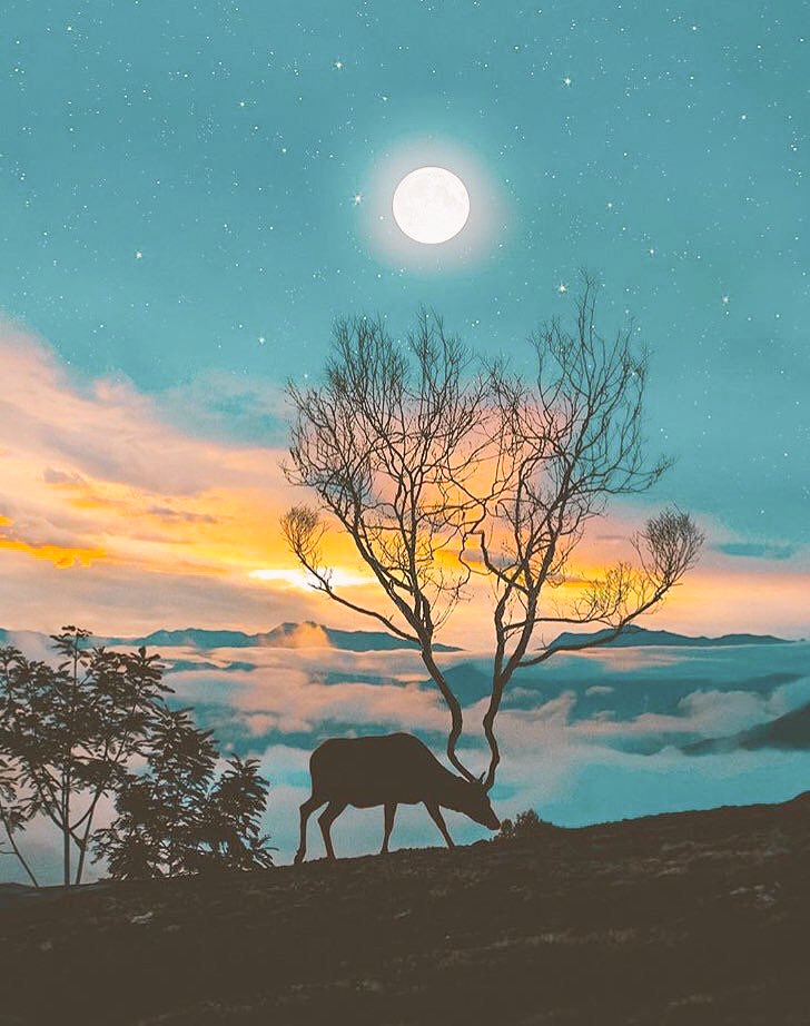 Hamworldo's tweet photo. There are two ways to live : you can live as if nothing is a miracle, you can live as everything is a miracle.       Albert Einstein https://t.co/lBnE6M3tiT