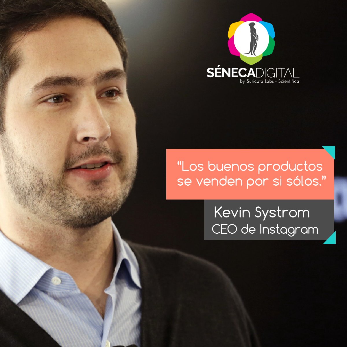 SenecaDigital's tweet photo. Definir un objetivo y tener determinación: claves del éxito #FraseDelDia https://t.co/41j6Grqt3X