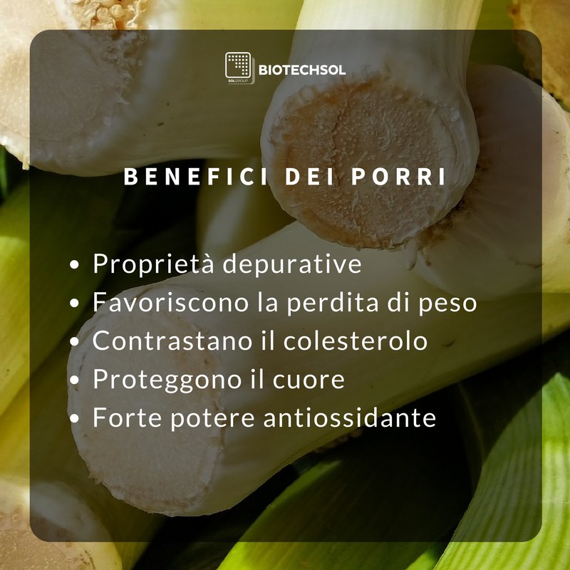 BiotechSol's tweet image. #Alimentazione #Porri