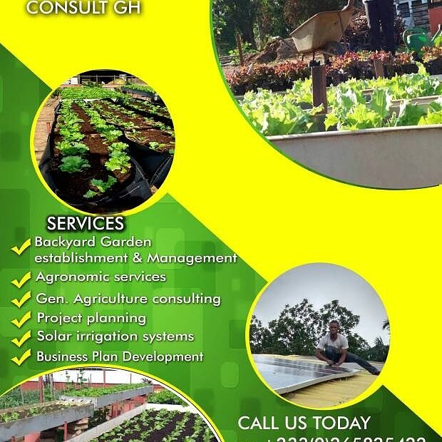 Yibikor Agric. And Backyard Garden Consult GH.
Urban vegetable farming in backyard gardens or homesteads are some of the ways to reduce food items costs and improve upon your healthy lifestyle. Contact us for yours to be established!! 0265825422