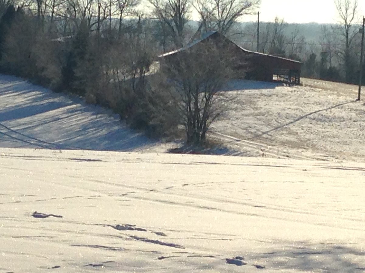 swbagwell's tweet photo. It looks like I continue to post the same picture on Facebook - same scene, different days. The ❄️ is not going anywhere, especially at 15 degrees! https://t.co/cBsl5bXa04
