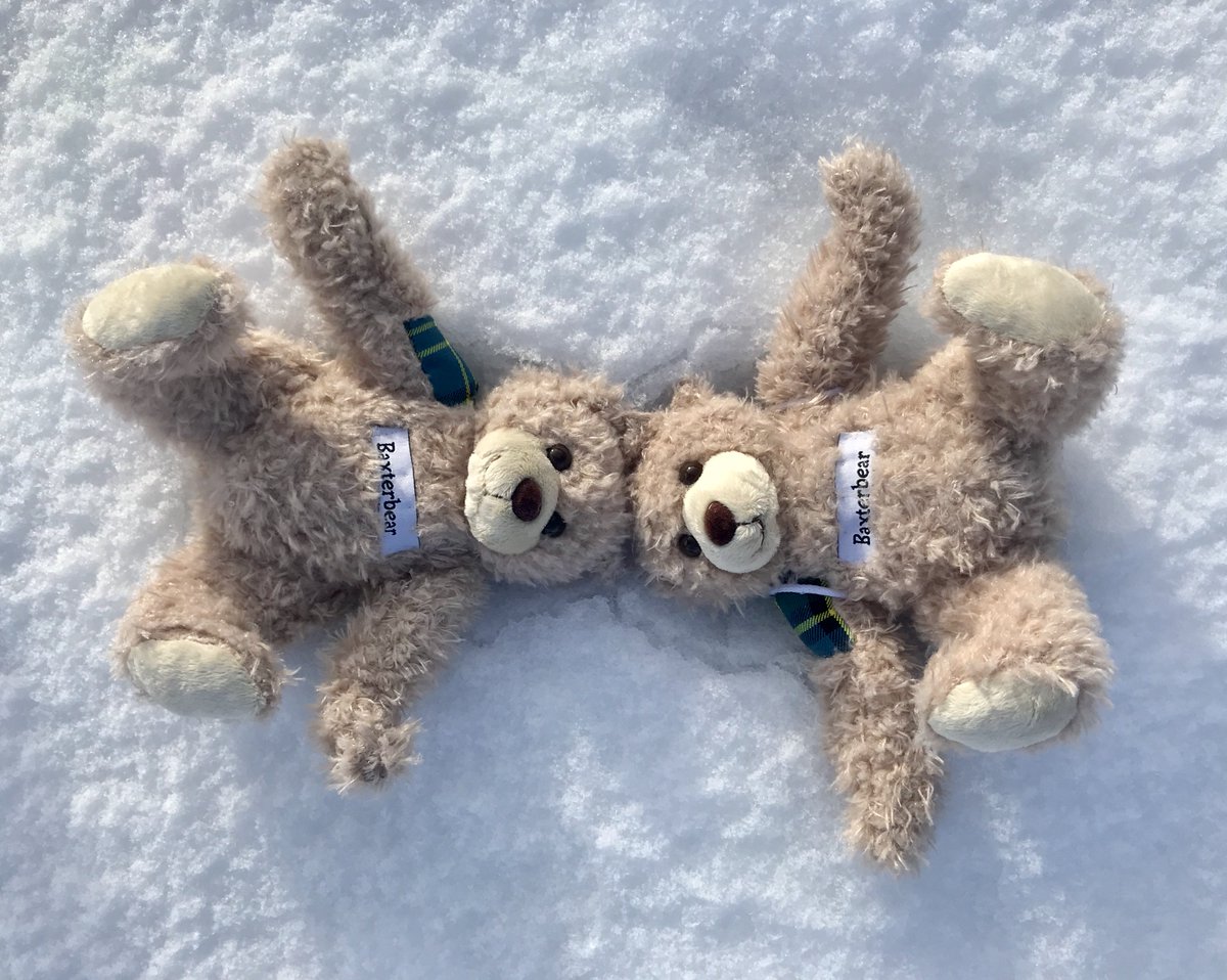 Baxterbearsays's tweet photo. Baxterbear is #TREEKLED with the #uksnow. https://t.co/DdkU2Jhq2m