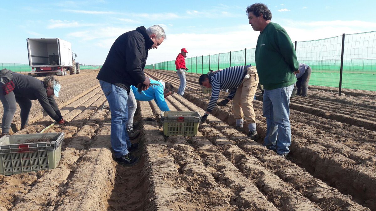 eduard_daling's tweet photo. Mooi weer in andalusie wij zijn aan het planten zaaien en frezen https://t.co/YWaN9QLPoE