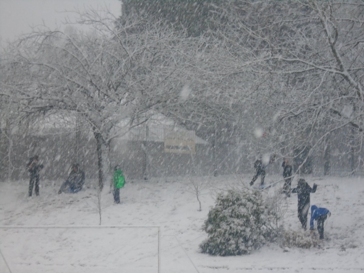 greenviewsch5's tweet photo. On a day like this the best place to learn is outdoors. #Wednesday #outdoorlearning #fun #snowdays https://t.co/hCXDO5vdPL