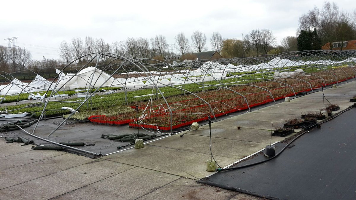 Enorme schade kwekerij @Ergon_040 , gelukkig geen gewonden!