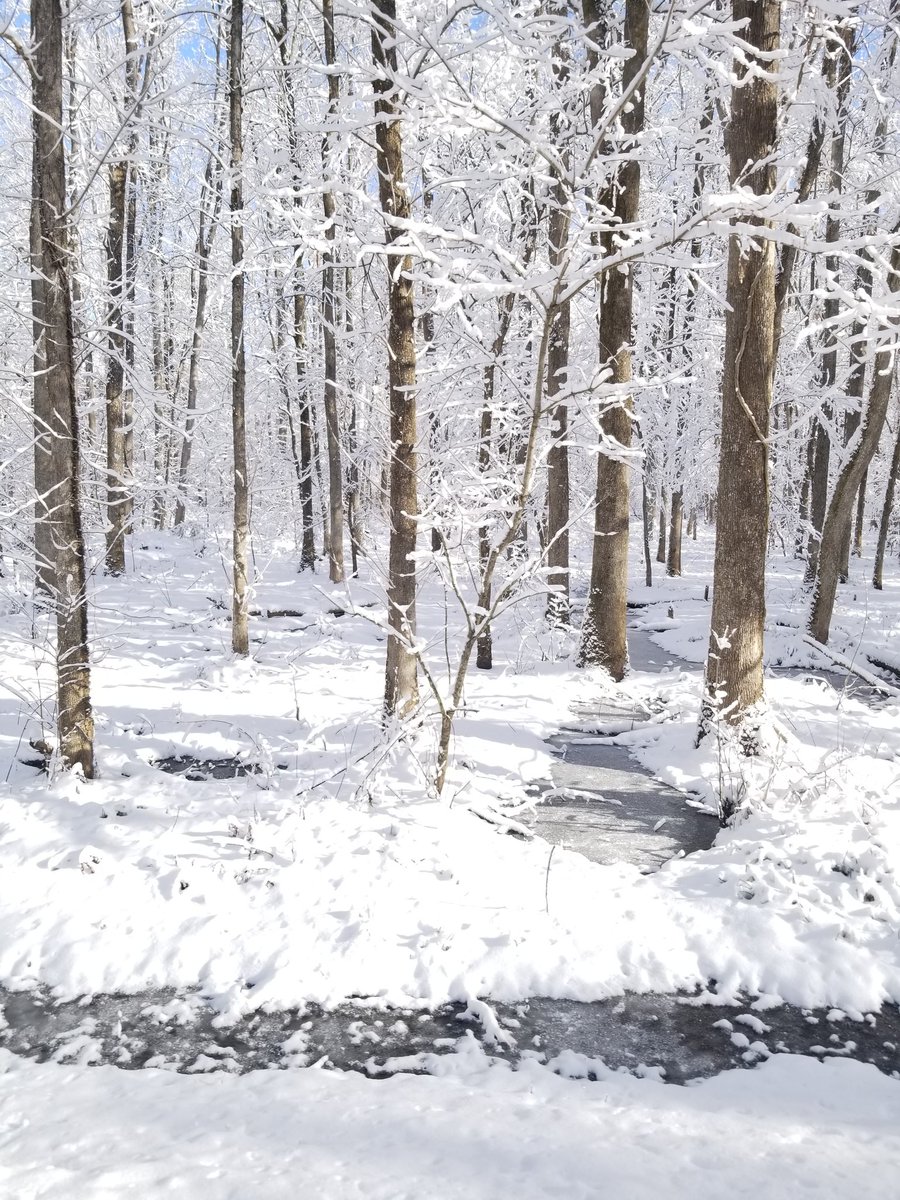 ChelseaShover's tweet photo. Current situation-covered in snow. #wncn https://t.co/8HN8oEr7vn