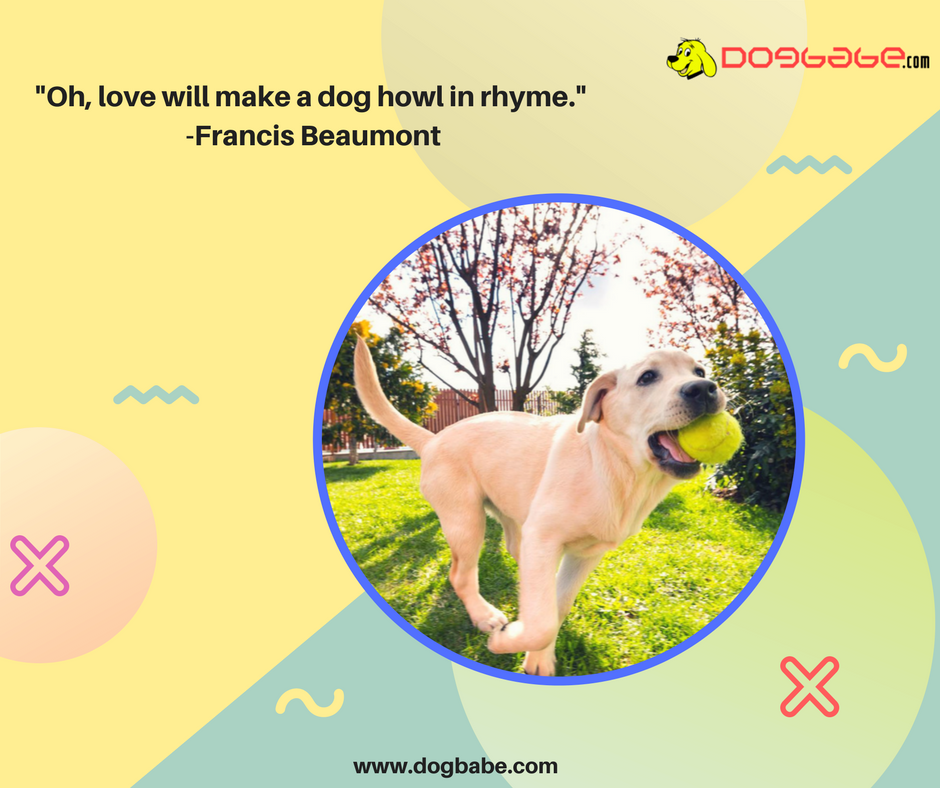 lovedogbabe's tweet photo. Bow wow is the music hear it with a Smile.
https://t.co/ZSwczKGBk4
#dogs #dog #doglover #doggy #LoveYourDogs #pet #puppy #pup #animals #ilovemydog #lovepuppies #adorable #hound #dogsitting #pets #motivationalquotes #motivational https://t.co/GQIn4S303n