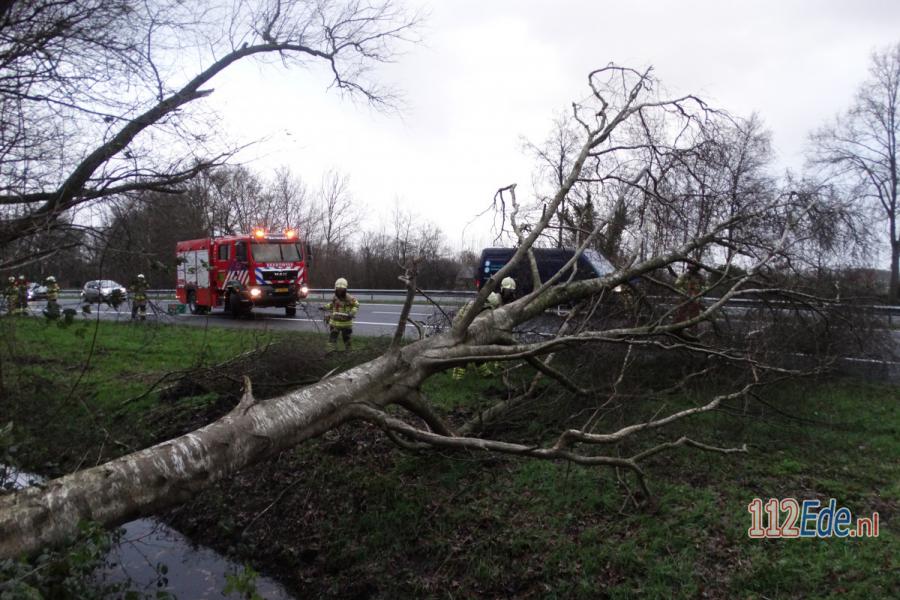 🚨 Veel overlast door zware storm in de regio 112.press/QBlx2M #112Nieuws https://t.co/MCLM95Z4Rl
