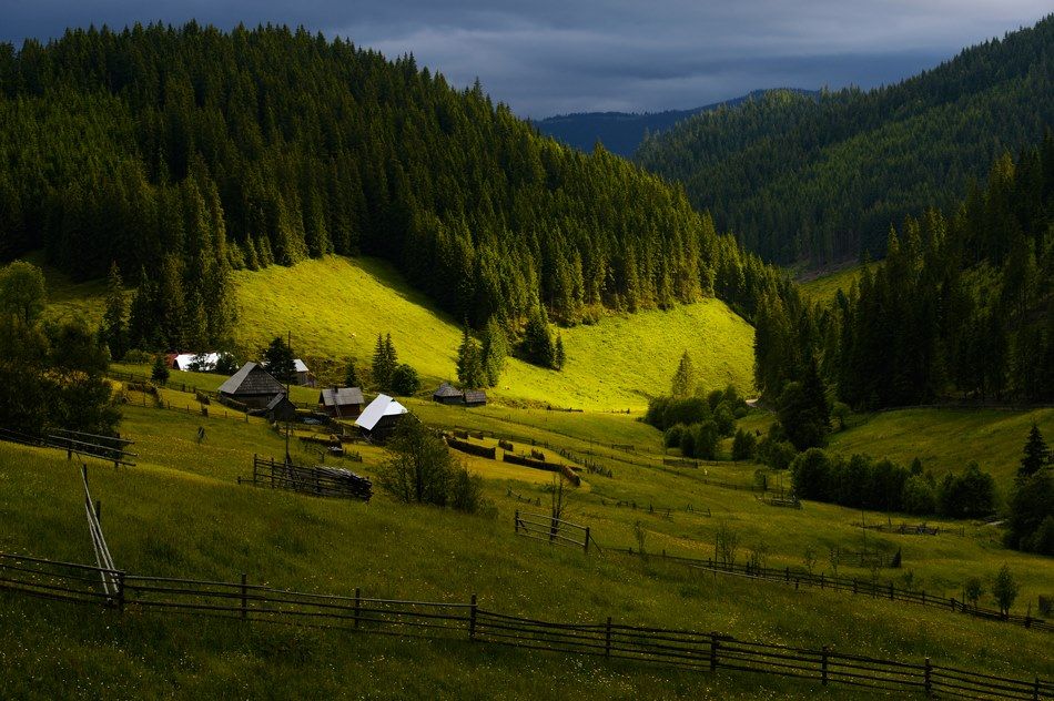 Природа в румынии