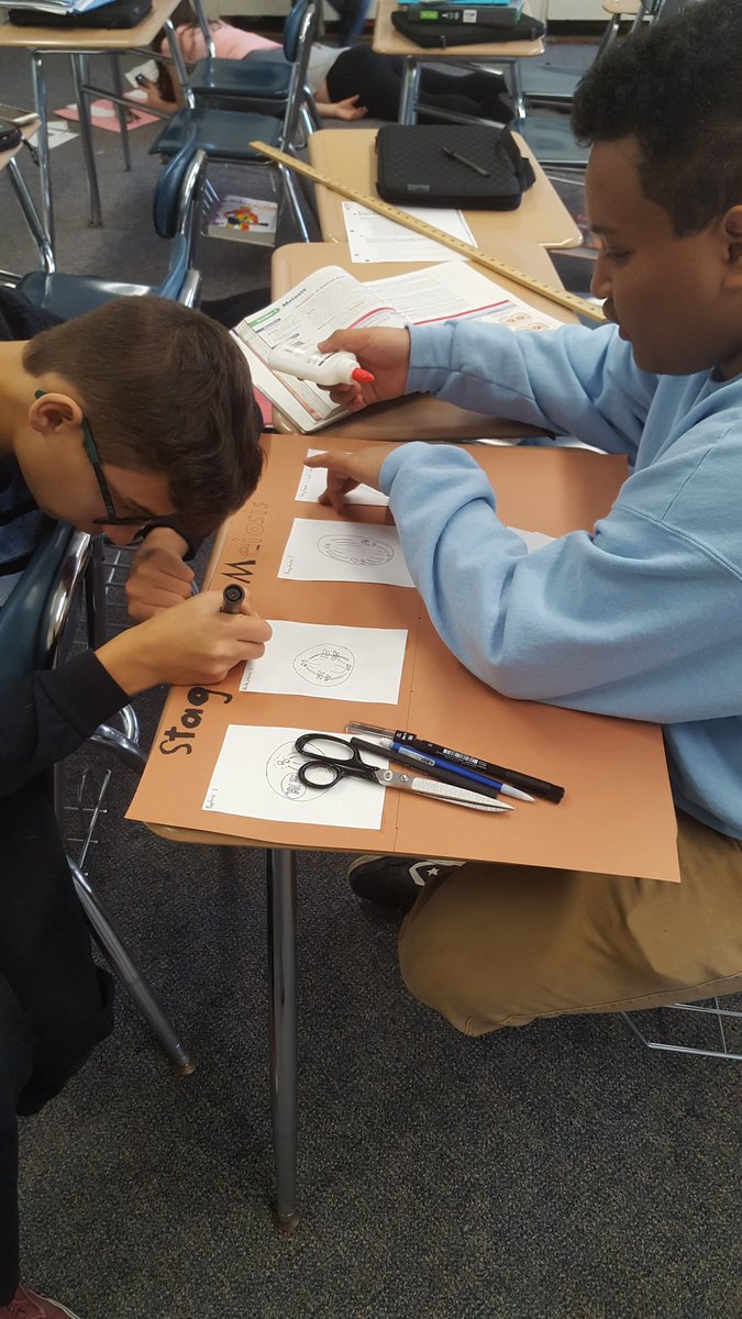 MrsFisher_Sci's tweet photo. Even the big kids like art projects. #opsbio Learning stages of meiosis @opsedu. https://t.co/SOTFKfvXkd