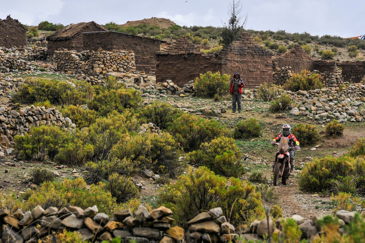 JOAN BARREDA tweet media