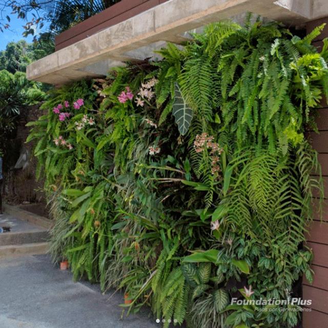foundation_plus's tweet photo. ¿Sabias que los #JardinesVerticales son un aislante natural del ruido? Un producto para brindate mayor calidad de vida #FoundationPlus https://t.co/0aT8wDwwB0