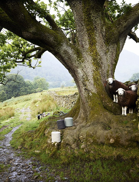 All things #wool. #smile Check out <a href="/chriseverard/">Chris Everard</a> Beautiful images.