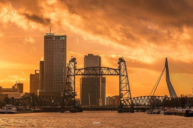 KURD_010's tweet photo. THE ROOF IS ON FIRE 🔥
.
Foto: @a_d_v_photography

#rotterdam #rotterdamcity #icons #dehef #deloitte #kpn #erasmusbrug #skyline #skylinelovers #rotterdamcentre #rotterdamstagram #komieuitrotterdamdan #rtvrijnmond #ditisrijnmond #010 #insta010 #super_h… https://t.co/TeGZIByVNe https://t.co/nzCymNXeD3