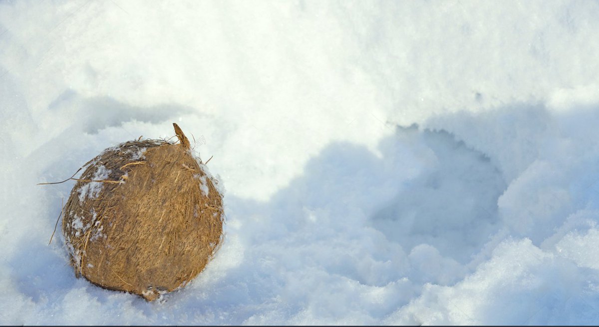 Koko FitClub tweet media