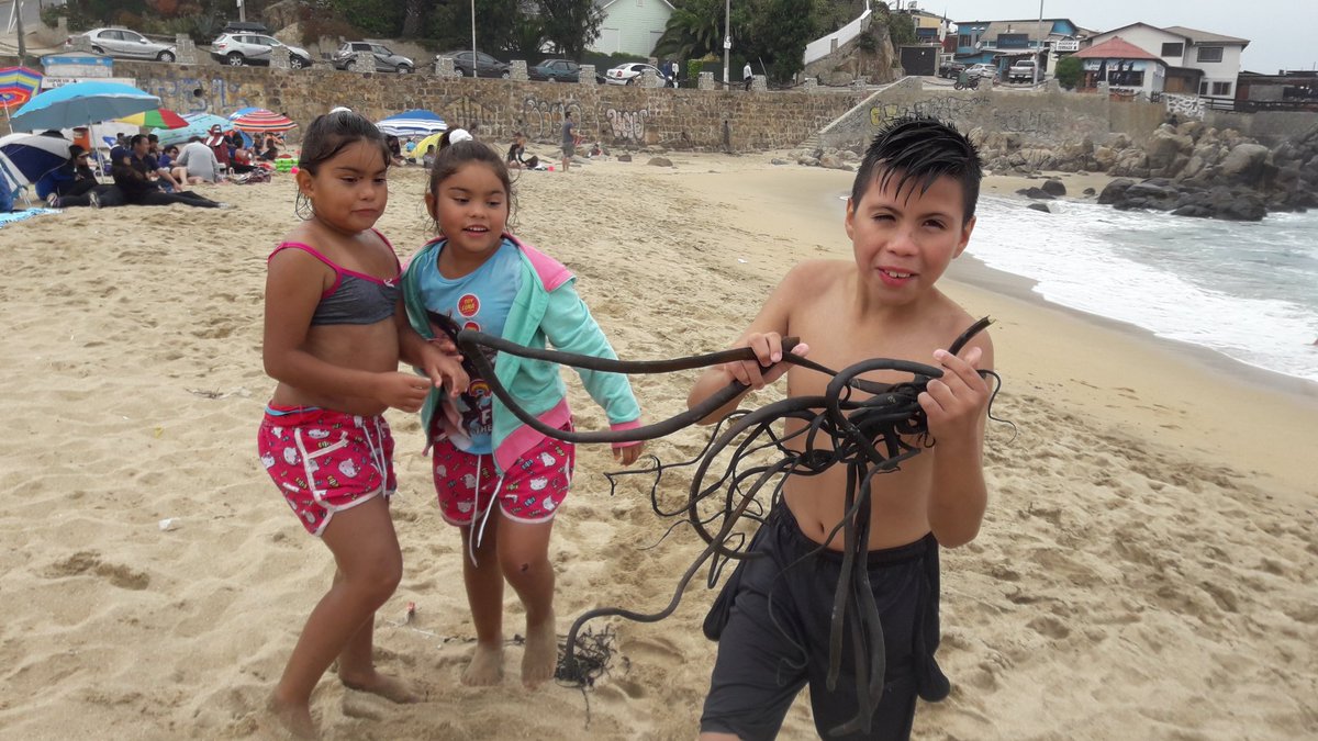 FunfasRecoleta's tweet photo. Paseo cogestionado Playa Las Cadenas #LasCruces Taller Fútbol Niñ@s  #Verano2018 @tererey3 @ndelpiano https://t.co/kJn4Yp15Sh