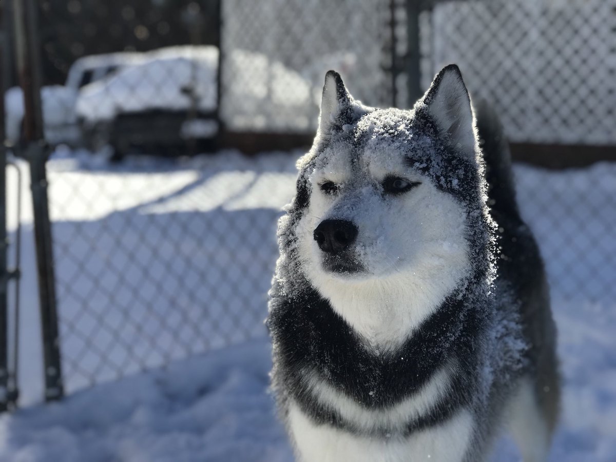 Rob Garcia (@specialtyrob) on Twitter photo 