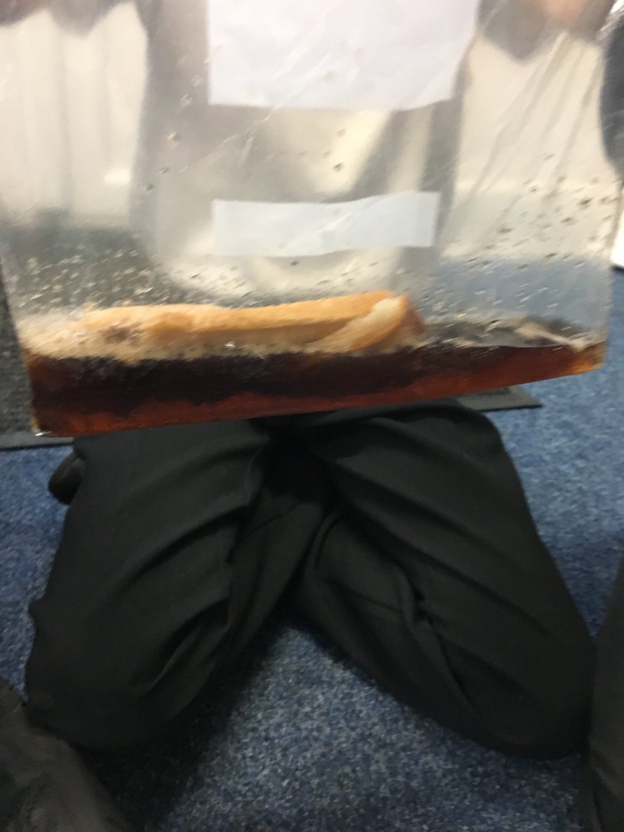 stgac5's tweet photo. Warning! Don't look while you're eating! Today we have learnt all about our digestive system. Here's a "stomach" helping to digest food in bile. https://t.co/oDtVYZoih5