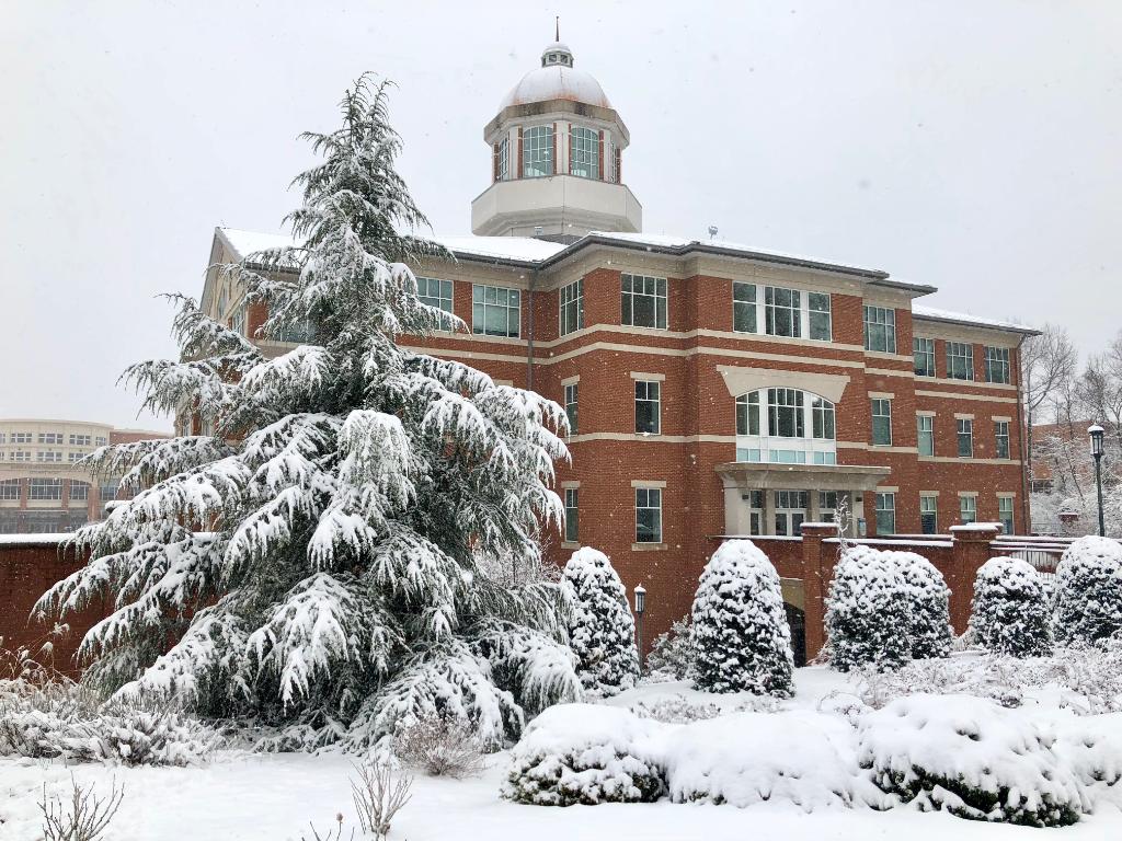 unccharlotte's tweet photo. It's snow secret that campus is enchanting on days like these 💚 ❄ #NinerPicks https://t.co/eRHaJllSoI