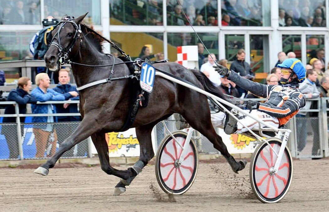 Min jänkarvagn av märket gorilla blev stulen från mitt stall på bjertorp igår. Håll utkik. Vit med röda hjul.