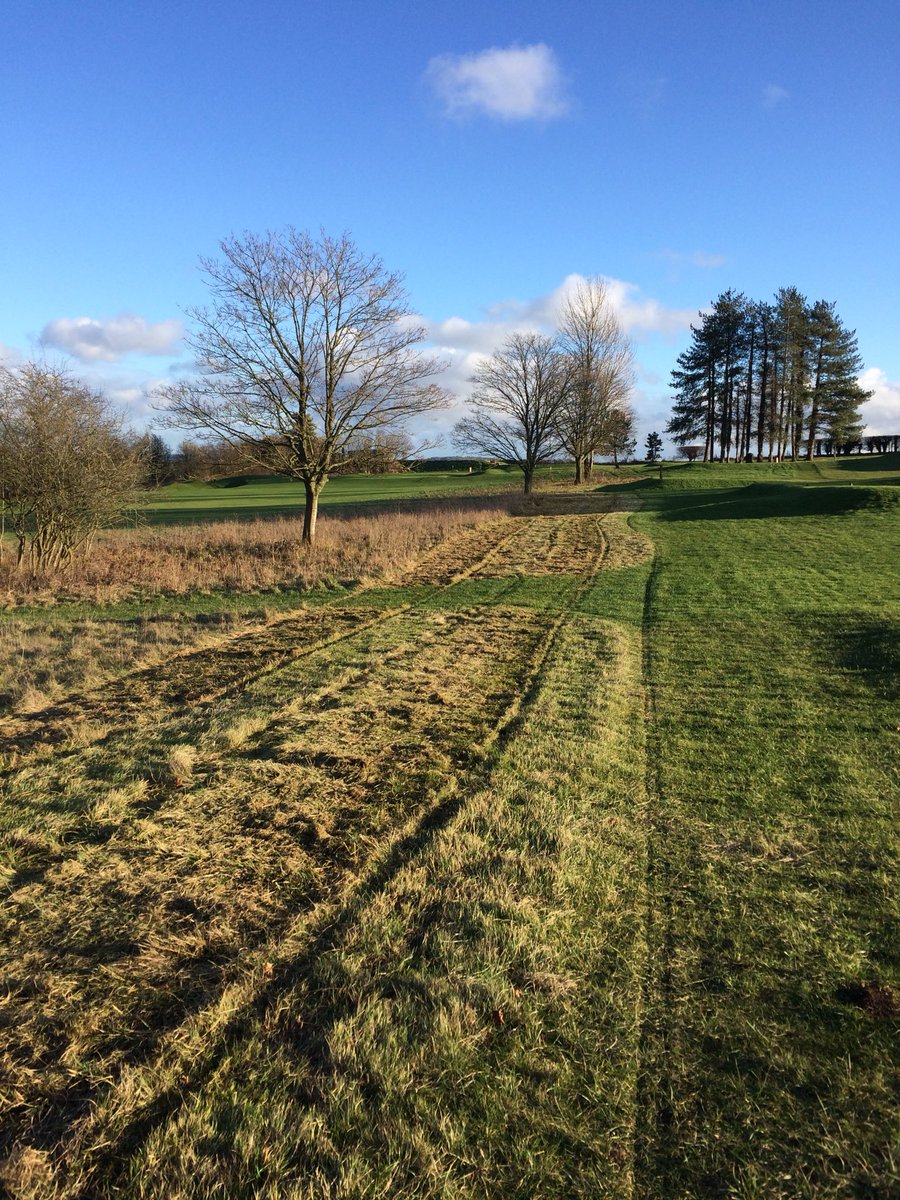 tomofreemo's tweet photo. Cutting & collecting in the sunshine @golfenvawards @Ecology1BIGGA #roughmanagement @HighPostGolf https://t.co/evtBl7IE5g