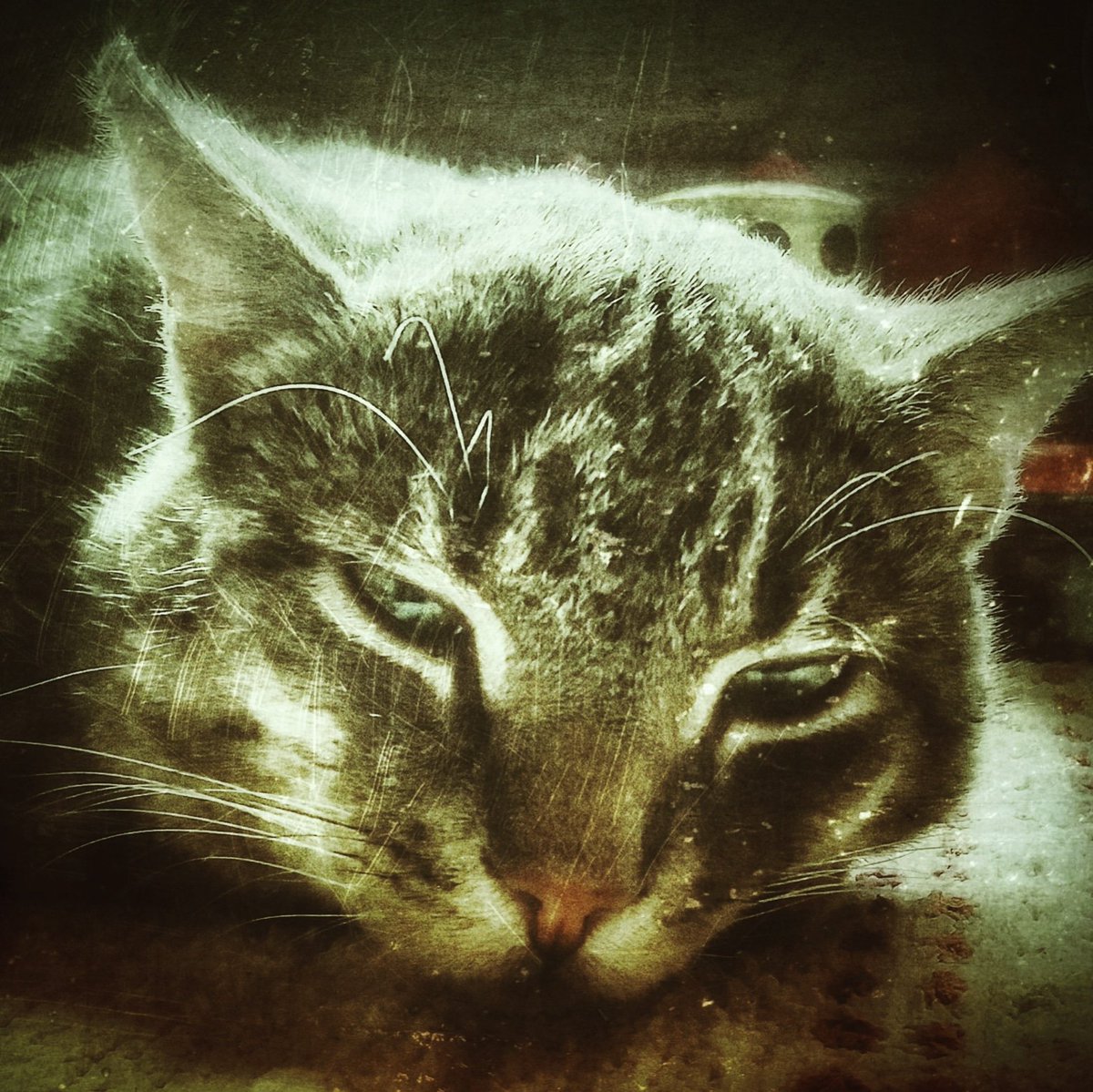 VisualGoGo's tweet image. Tuntuu joskus siltä että eniten työtä tulee juuri silloin kun sitä vähiten odottaa. 
#työ 
#työtä
#odotuksia
#kunvähitenodottaa
#odottaainnolla
#uudettuulet
#visualgogo
#vgg