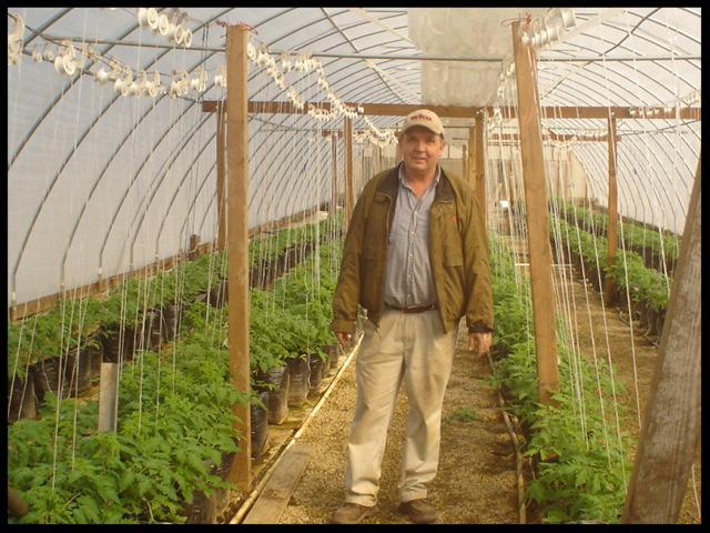 Mayse Farm Market tweet media