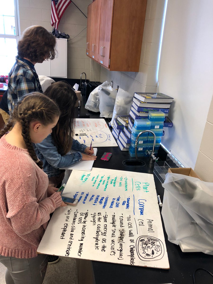 BrownBioNAHS's tweet photo. Exploring the cell theory and comparing plant and animal cells, it's a dangerous task...so we wear protective eyewear! https://t.co/Y8Z0XnTzMR