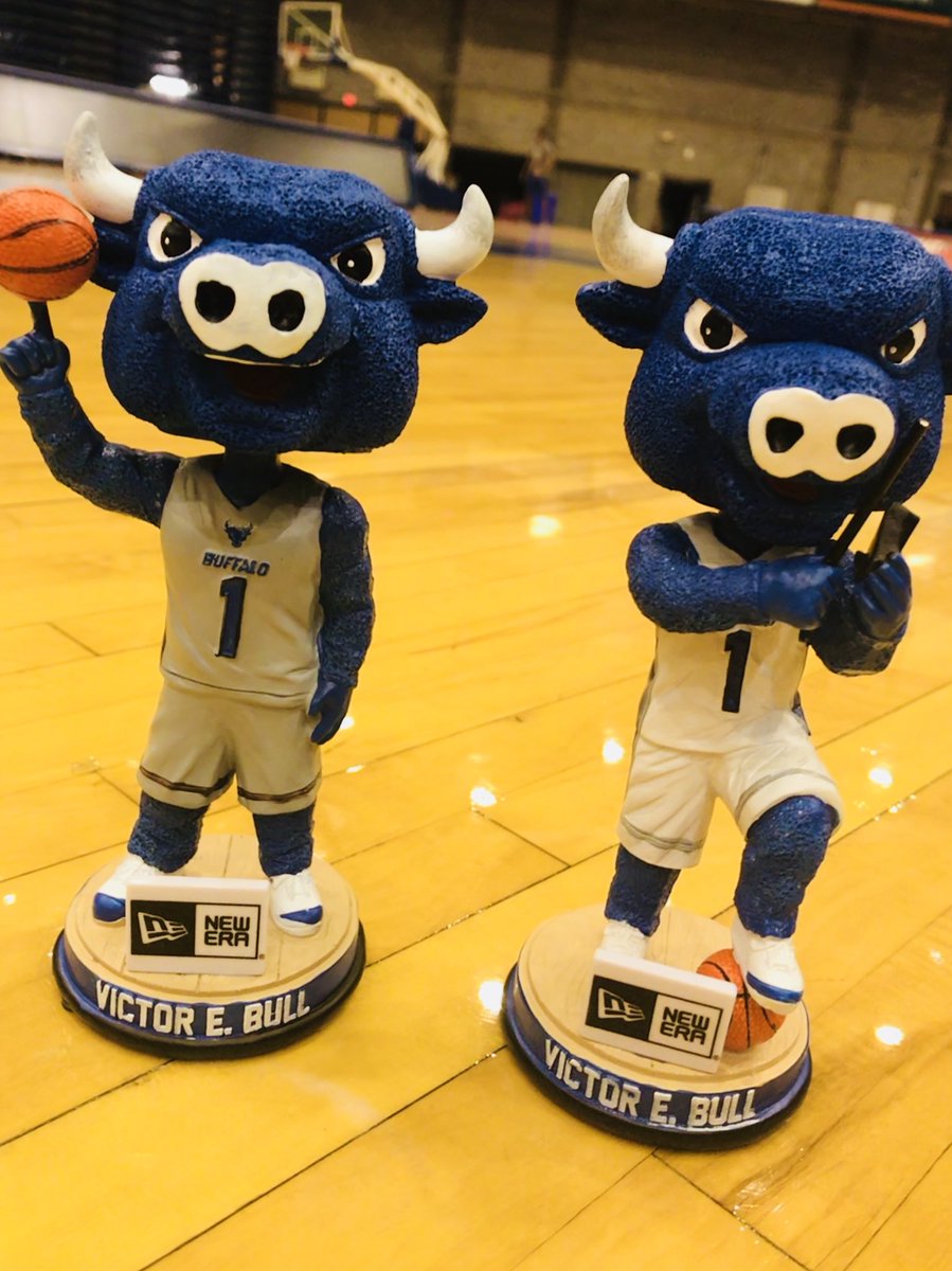 elainemrussell's tweet image. Not sure what I am more excited about ... these bobblehead give-way promotions for @UBmenshoops &amp;amp; @UBwomenshoops OR the pallets they came on! 🤷🏻‍♀️ 
#DIYeratheart #somanyprojects 🔨🔧🔩🛠✂️📌🖍📐📏🗜✏️