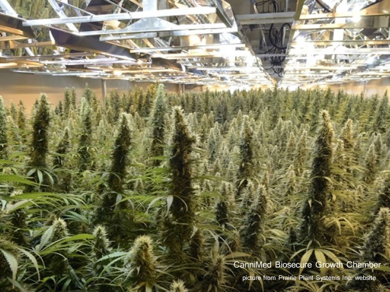 CanniMed To Hold Talks With Aurora In Midst Of Hostile Takeover Offer dlvr.it/QBpd3z https://t.co/mBmC1afRW6